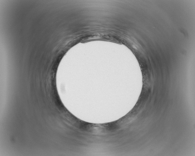 X0000114110229200911161125