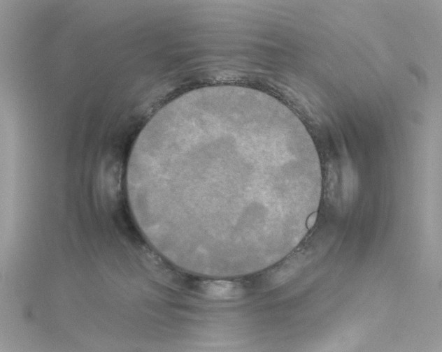 X0000114110230200911161125