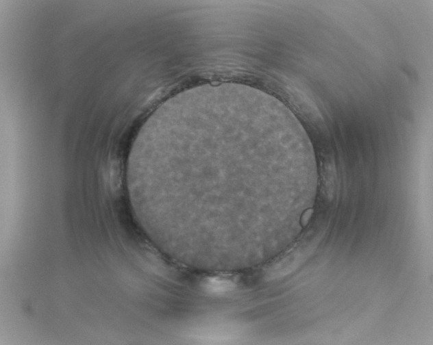 X0000114110232200911161125