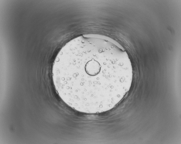 X0000114110233200911161125