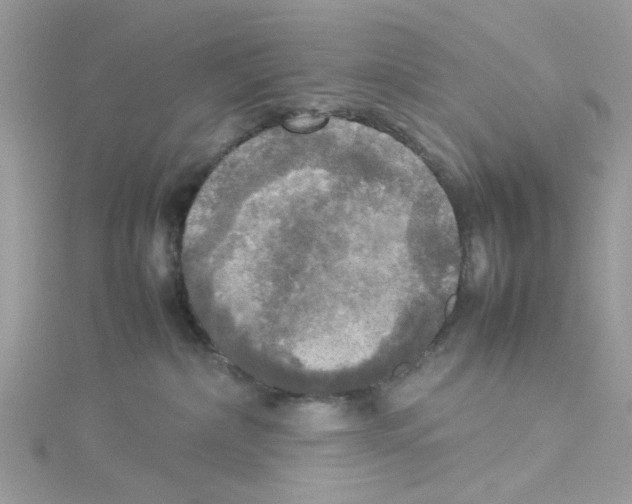 X0000114110236200911161125