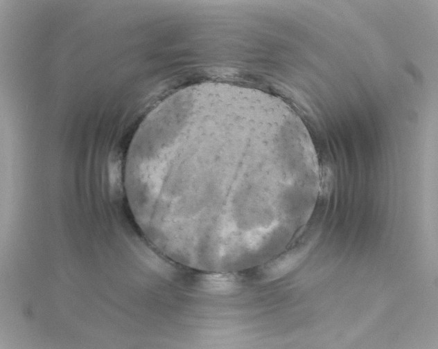 X0000114110238200911161125