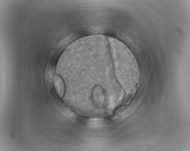 X0000114110240200911161125