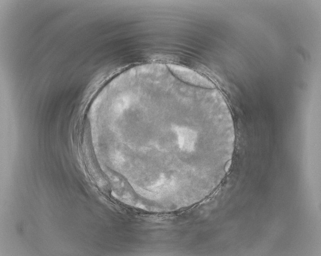 X0000114110241200911161124