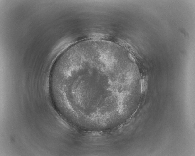 X0000114110243200911161124