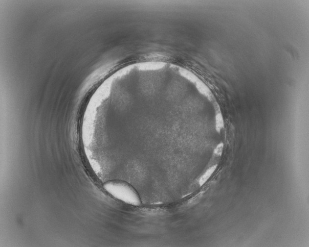 X0000114110245200911161124