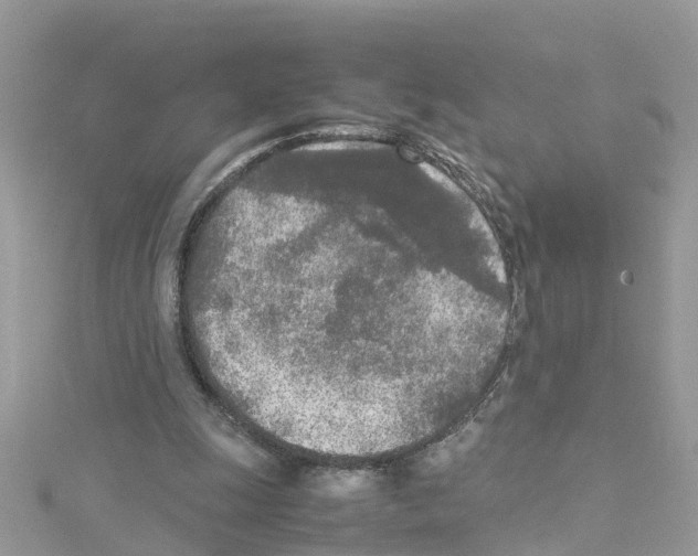 X0000114110247200911161124