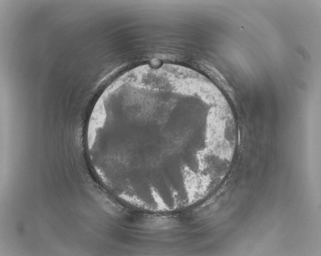 X0000114110249200911161124