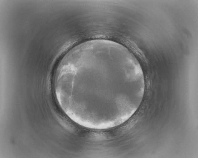 X0000114110250200911161124