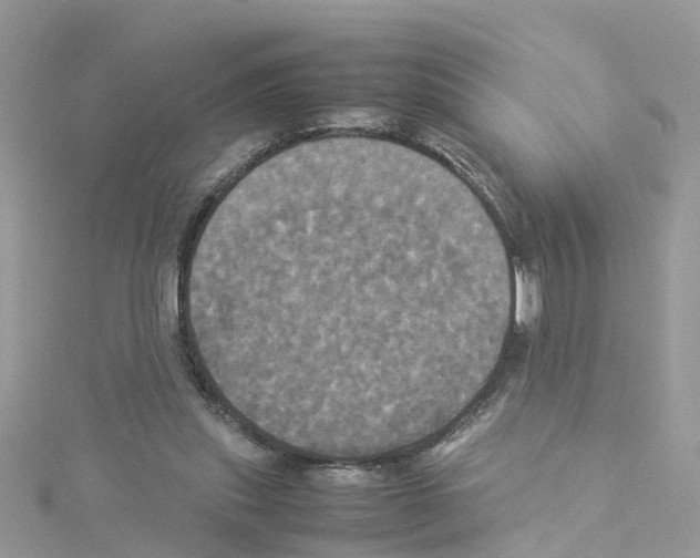 X0000114110253200911161124