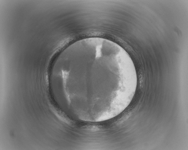 X0000114110254200911161124