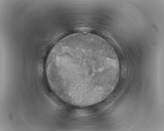 X0000114110259200911161124