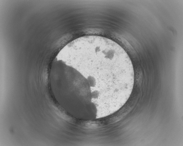 X0000114110261200911161124