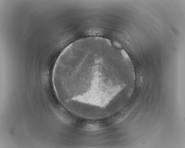 X0000114110263200911161124