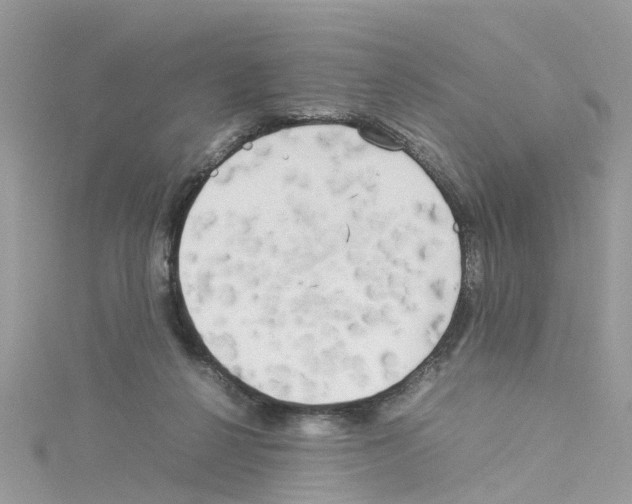 X0000114110264200911161124