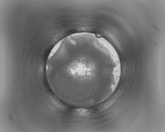 X0000114110265200911161125