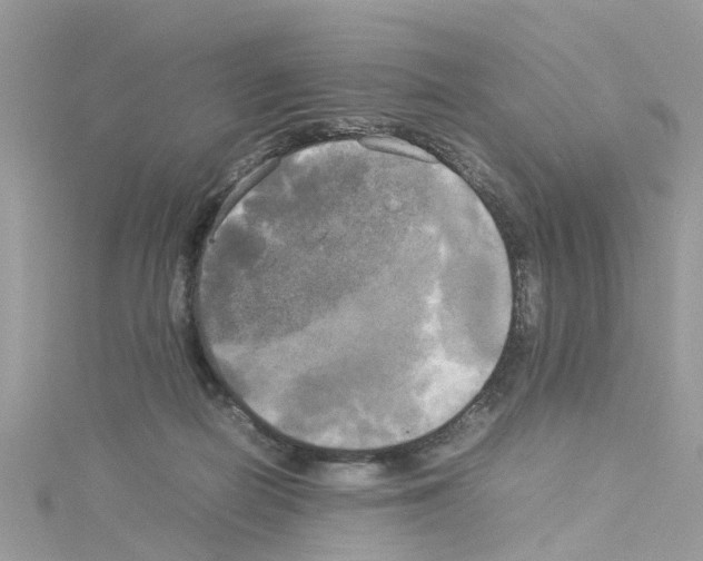 X0000114110266200911161125