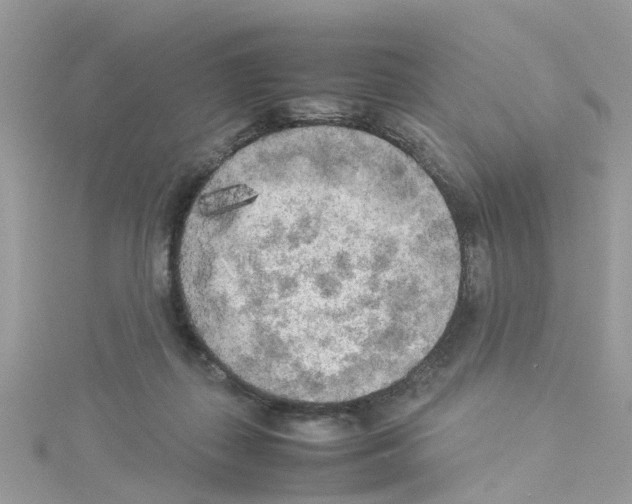 X0000114110267200911161125