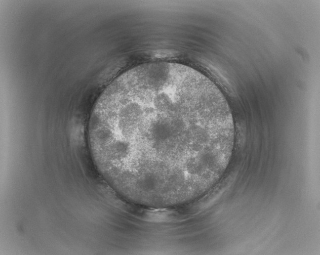 X0000114110269200911161125