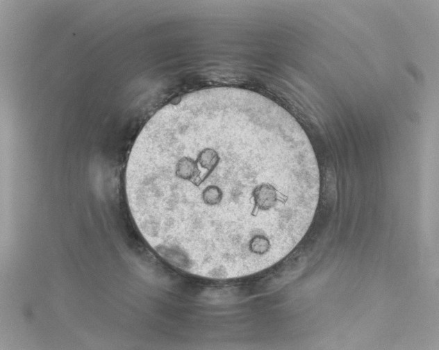 X0000114110271200911161125