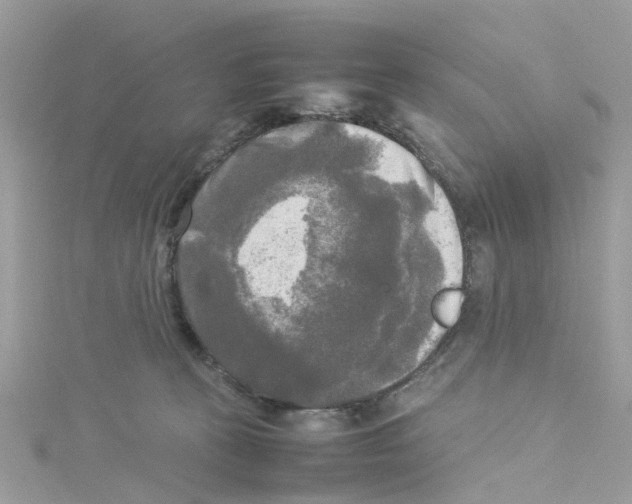 X0000114110273200911161125