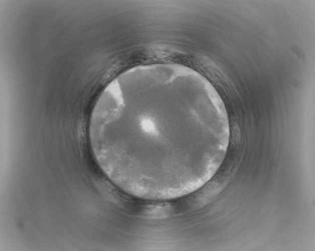 X0000114110274200911161125