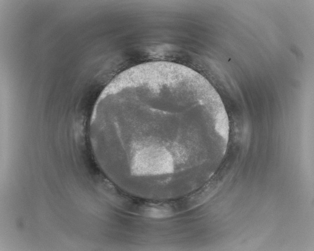 X0000114110275200911161125