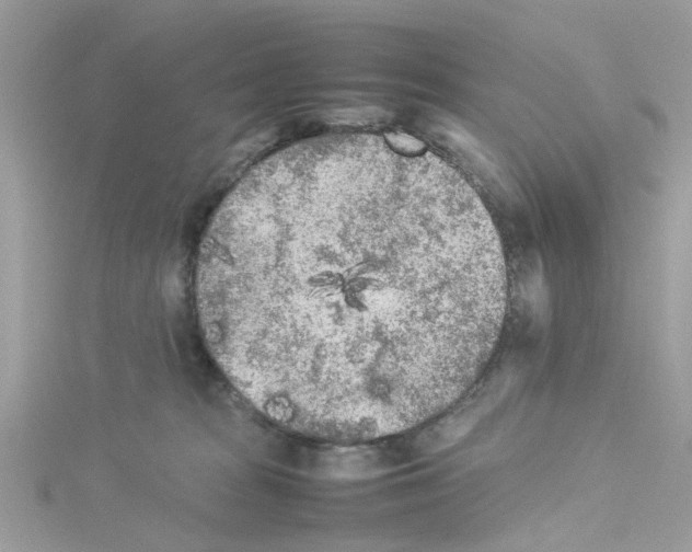 X0000114110277200911161125