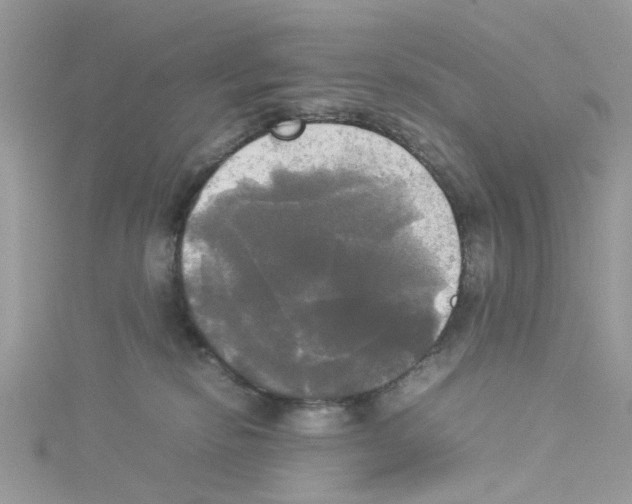 X0000114110278200911161125