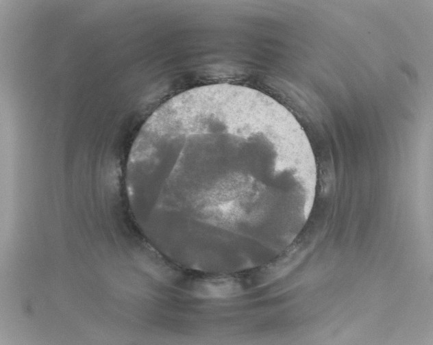 X0000114110279200911161125