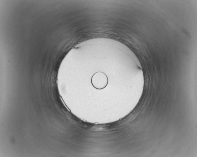 X0000114110280200911161125