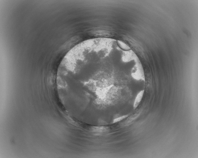 X0000114110281200911161125