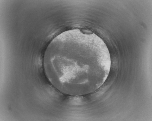 X0000114110282200911161125