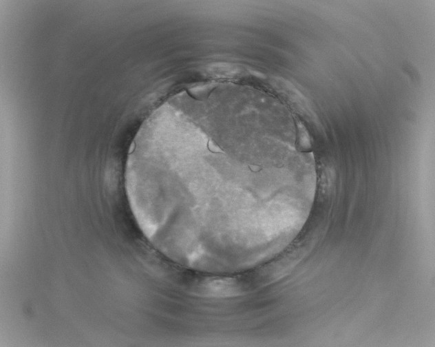 X0000114110283200911161125