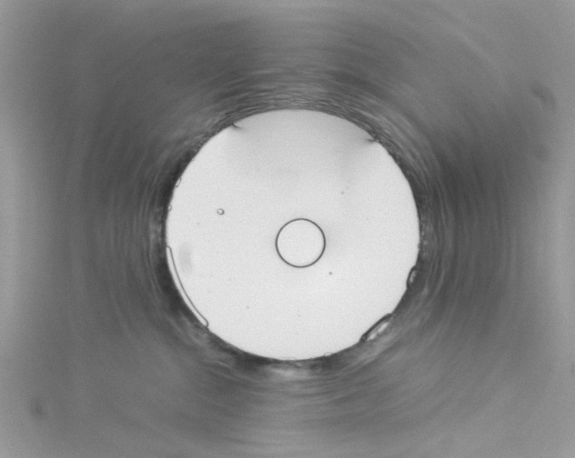 X0000114110284200911161125