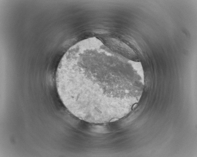 X0000114110285200911161125