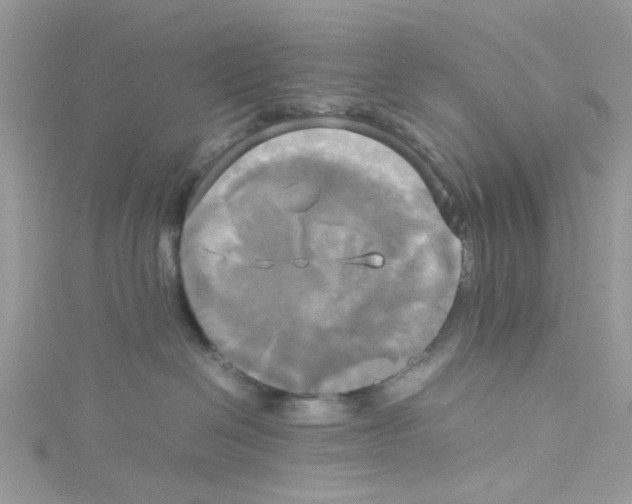 X0000114110286200911161125