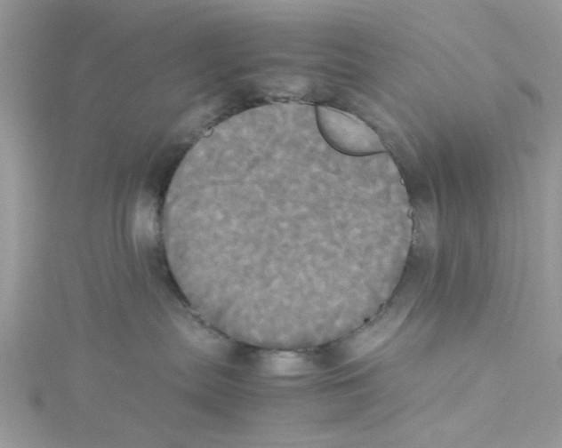 X0000114110287200911161125