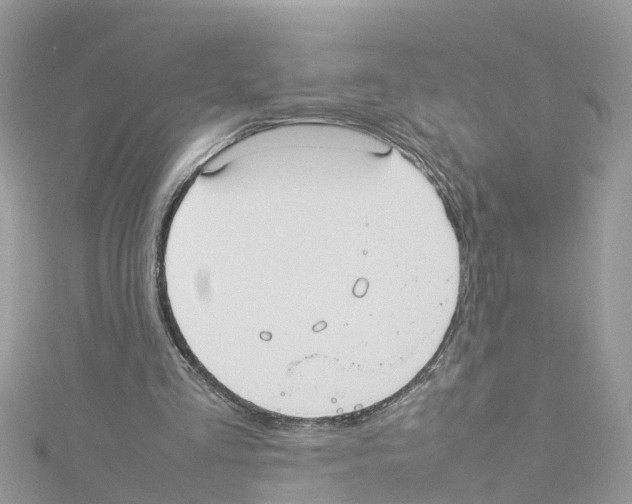 X0000114110293200911161124