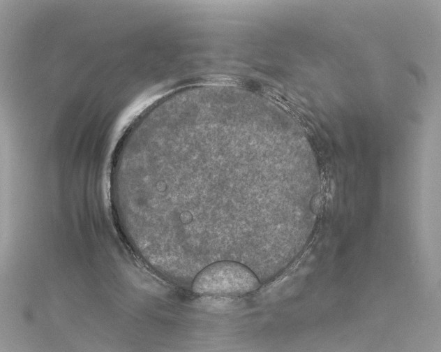 X0000114110294200911161124