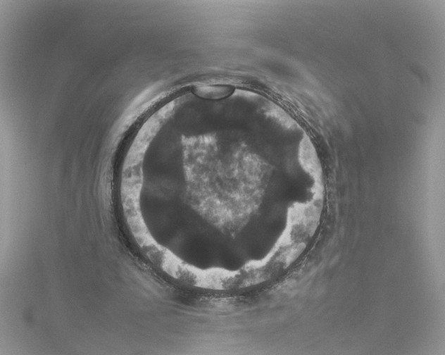 X0000114110295200911161124