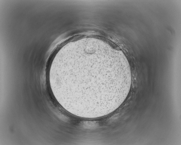 X0000114110296200911161124