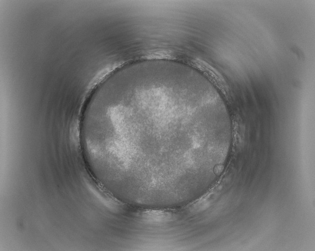 X0000114110298200911161124