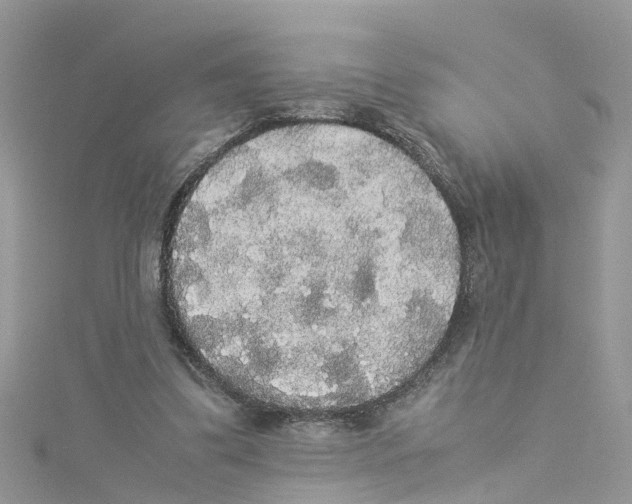 X0000114110299200911161124