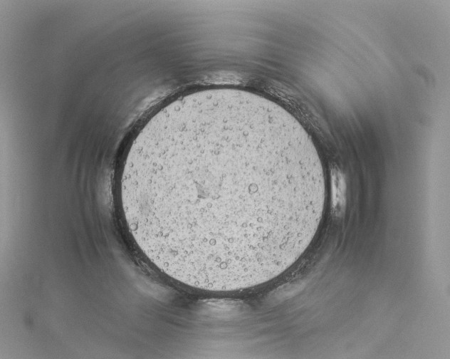 X0000114110300200911161124