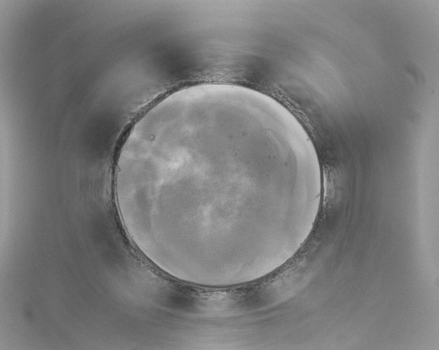 X0000114110301200911161124