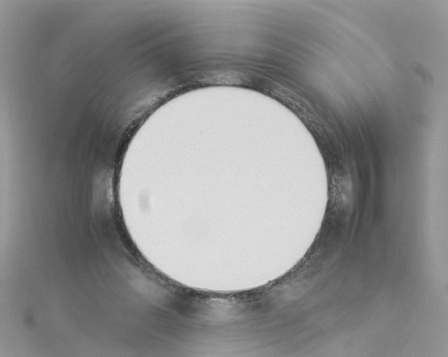 X0000114110302200911161124