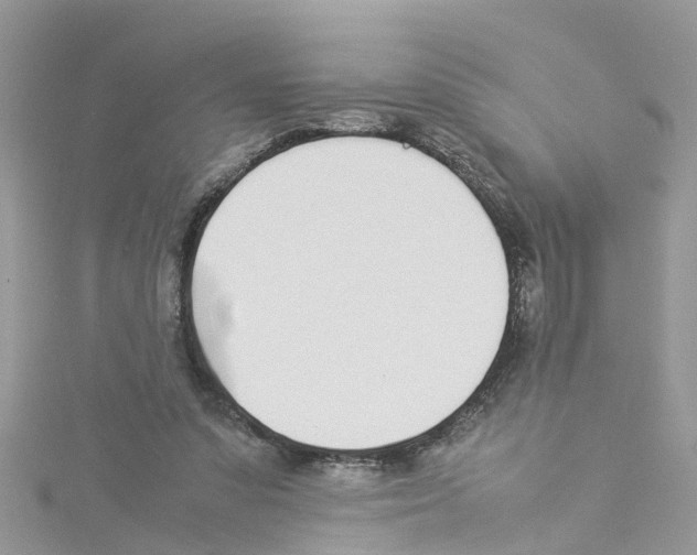 X0000114110303200911161124