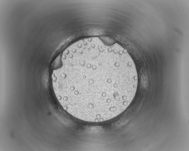 X0000114110304200911161124