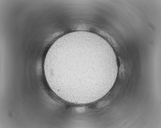 X0000114110306200911161124